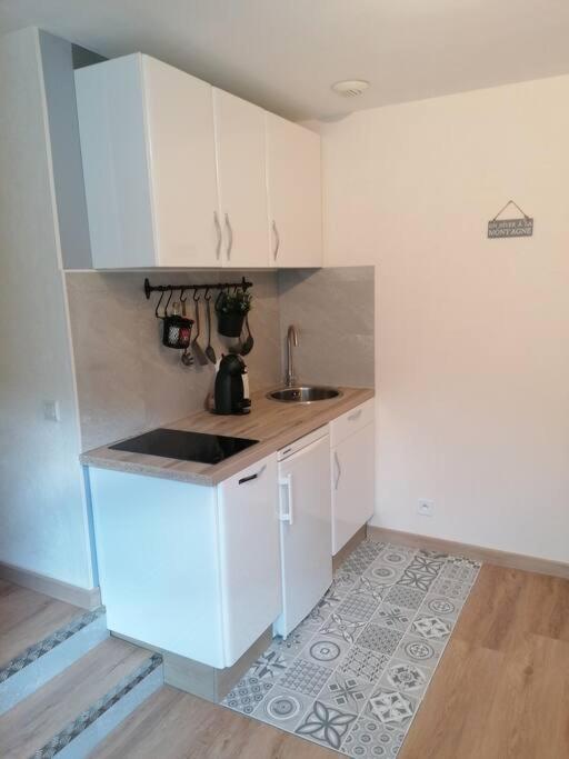 Location Appartement T2 38 M2 2 Chambres Allevard Εξωτερικό φωτογραφία
