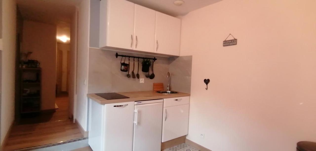 Location Appartement T2 38 M2 2 Chambres Allevard Εξωτερικό φωτογραφία
